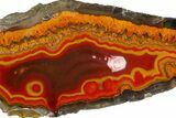 Polished Orange & Red Banded Agate - Kerrouchen, Morocco #372677-1